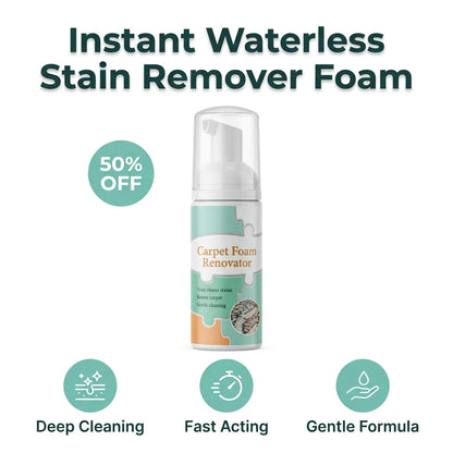 DryFoam™ - Waterless carpet stain remover for instant results