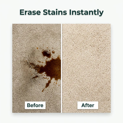 DryFoam™ - Waterless carpet stain remover for instant results