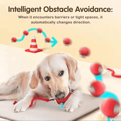 PawSpin™ Smart Interactive Rolling Ball for Cats & Dogs - BrinoaPawSpin™ Smart Interactive Rolling Ball for Cats & DogsPawSpin™ Smart Interactive Rolling Ball for Cats & Dogs